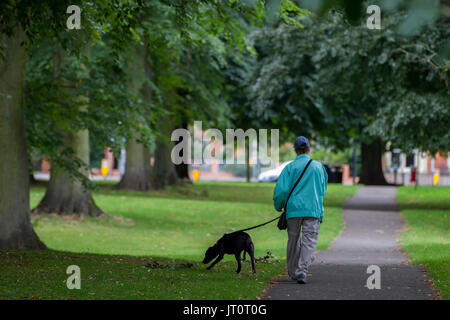 Northampton, Royaume-Uni Abington Park, météo, 7 août 2017. Un démarrage à froid le lundi pour les dames promènent leurs chiens ce matin avec un peu de bruine par moment, la prévision est beaucoup le même pour aujourd'hui mais avec la pluie sur et hors tension tout au long de la journée.Une dame promener son chien noir sur le chemin à l'extérieur du parc vers Wellingborough road Crédit : Keith J Smith./Alamy Live News Banque D'Images