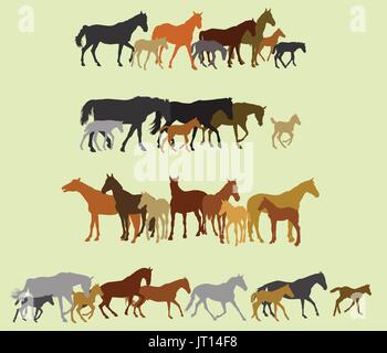 Groupe de noir, gris, orange, marron silhouettes de chevaux (étalons, Juments et Poulains) debout, marcher, courir sur fond vert. Illustra vecteur Illustration de Vecteur