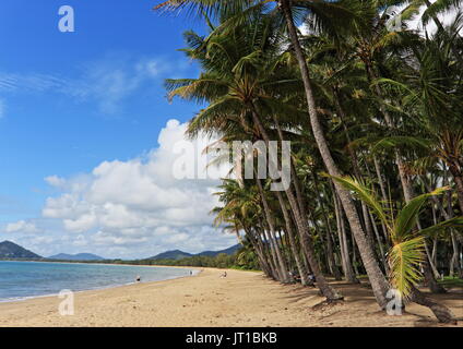 Via Palm Cove Cairns, Queensland, Australie Banque D'Images