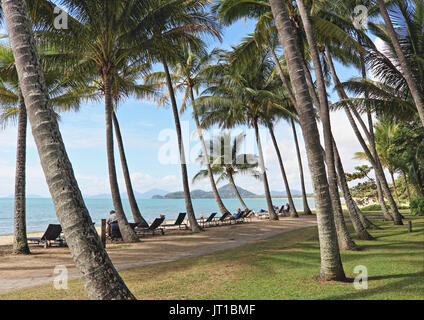 Via Palm Cove Cairns, Queensland, Australie Banque D'Images