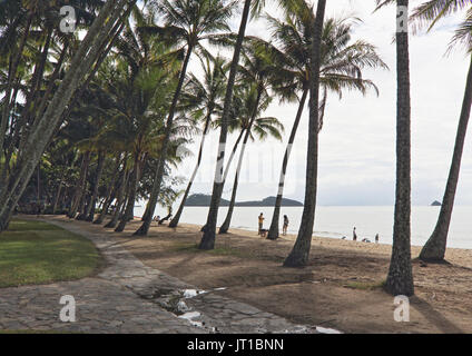 Via Palm Cove Cairns, Queensland, Australie Banque D'Images