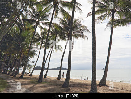 Via Palm Cove Cairns, Queensland, Australie Banque D'Images