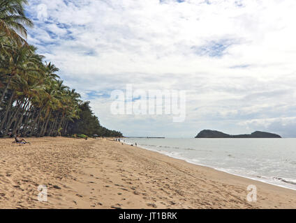 Via Palm Cove Cairns, Queensland, Australie Banque D'Images