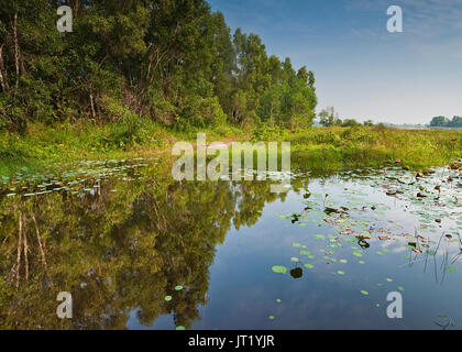 Paya Indah Reservior Swamp Park à Dengkil Selangor Malaisie Banque D'Images