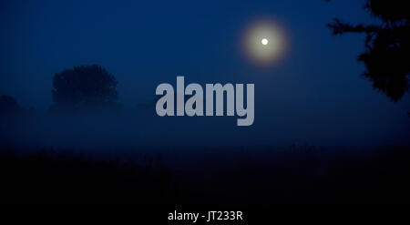 Dans la forêt d'ossature avec ciel étoilé et la pleine lune , Éléments de cette image sont meublées par la NASA Banque D'Images