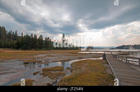 À côté de la promenade du ruisseau emmêlées et Black Warrior Springs menant au lac chaud dans la basse Geyser Basin dans le Parc National de Yellowstone dans le Wyoming Unit Banque D'Images