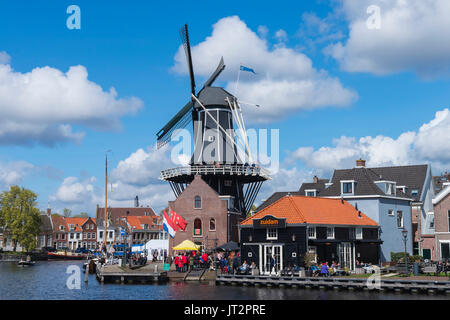 Adriaan De moulin le long de la rivière Spaarne, Haarlem, Hollande du Nord, Pays-Bas Banque D'Images