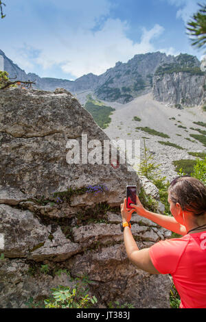 Female hiker photographing violet fleurs de montagne Banque D'Images