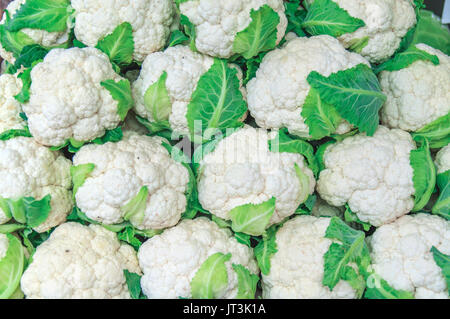 Chou-fleur frais sain de légumes bio vert et blanc Banque D'Images