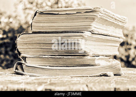 Vieux livres à jour ensoleillé comme symbole de l'intellect en sépia Banque D'Images