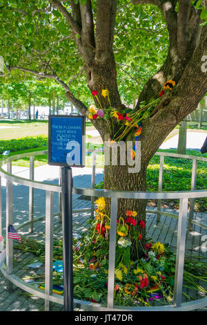 NEW YORK, USA - Mai 05, 2017 : Fleurs dans memorial museum près de One World Trade Center, vue depuis le niveau de la rue situé dans la ville de New York Usa Banque D'Images
