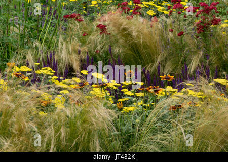 La plantation des prairies pour illustrer les dérives de couleur. La plantation est très hypnotique avec le mouvement causé par le vent. Banque D'Images