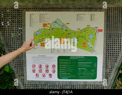 Singapour - Dec 14, 2015. Une main sur la carte du parc de la ville de Singapour. Singapour, appelée la cité du Lion, la ville-jardin, est une ville souverain-s Banque D'Images