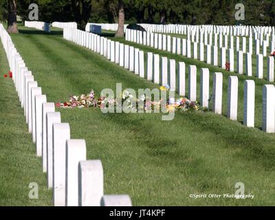 Ligne vers le haut rangée de pierres tombales dans le cimetière des anciens combattants Banque D'Images