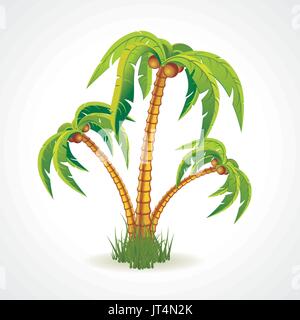 Vector illustration de la largeur des palmiers coco o fond clair Illustration de Vecteur