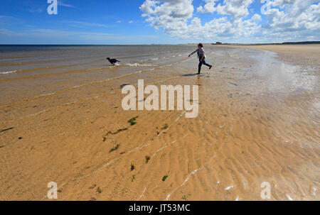 Woman throwing ball pour son chien dans la mer sur la plage de Brancaster, Norfolk, Angleterre, Royaume-Uni. Banque D'Images