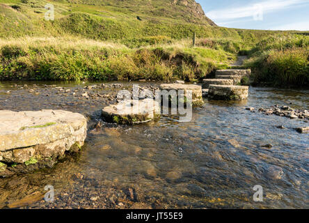 Stepping Stones sur South West Coast Path traverse la rivière Banque D'Images