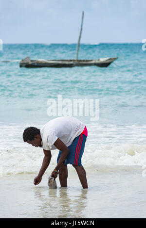 Lavages pêcheur poulpe pêché dans l'eau de mer par la plage du rivage, Diani, Kenya Banque D'Images