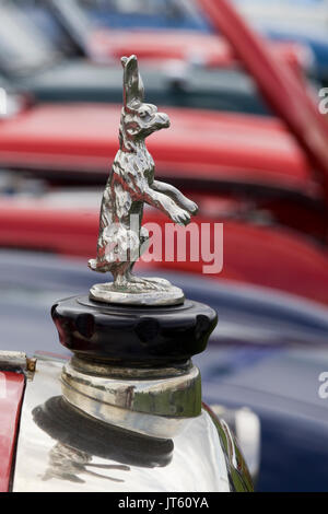 Lapin chrome hotte ornement sur une voiture alvis Banque D'Images