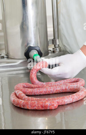 Transformation des produits agricoles : préparation de merguez saucisse dans une ferme Banque D'Images