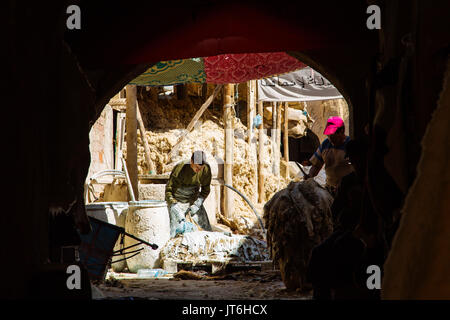 Souk des tanneurs de cuir, Médina de Fès, Fes el Bali. Le Maroc, Maghreb, Afrique du Nord Banque D'Images