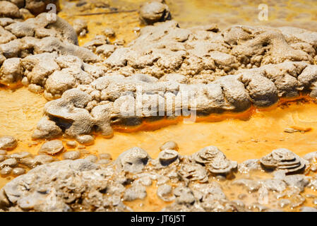 Sols colorés de sources chaudes, des geysers. dépôts minéraux. alien planet à sol. Le parc national de Yellowstone aux États-Unis. Banque D'Images