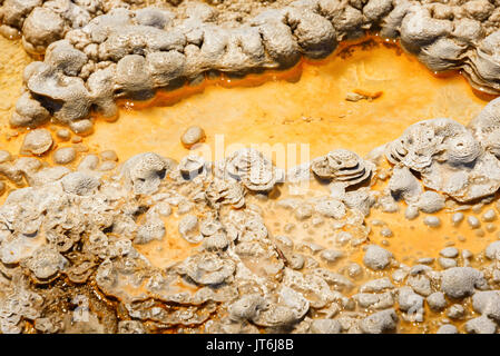 Sols colorés de sources chaudes, des geysers. dépôts minéraux. alien planet à sol. Le parc national de Yellowstone aux États-Unis. Banque D'Images