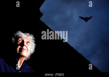 Gail Rudge à Braunston dans Rutland, regarder les chauves-souris qui sont dommageables St Anns Church Banque D'Images