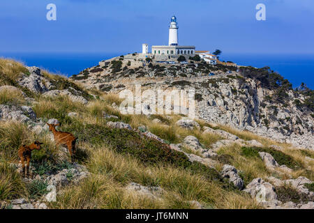 Formentor phare sur le Cap de Formentor, Majorque, Îles Baléares, Espagne Banque D'Images