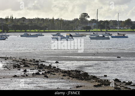 Bateaux amarrés à marée basse avec un parc et des banlieues à l'arrière-plan. Banque D'Images