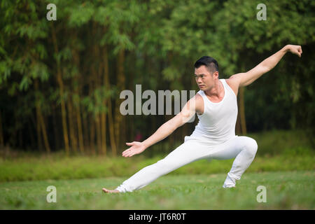 Asian man practicing Tai Chi dans un jardin. Bonne hygiène de vie et de détente Banque D'Images