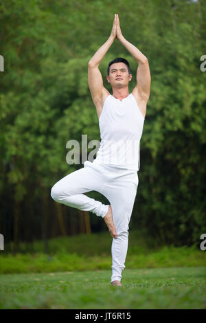 Asian man practicing Tai Chi dans un jardin. Bonne hygiène de vie et de détente Banque D'Images