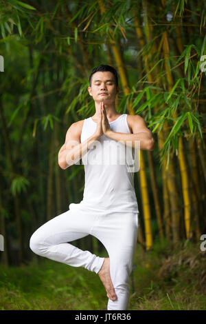 Asian man practicing Tai Chi dans un jardin. Bonne hygiène de vie et de détente Banque D'Images