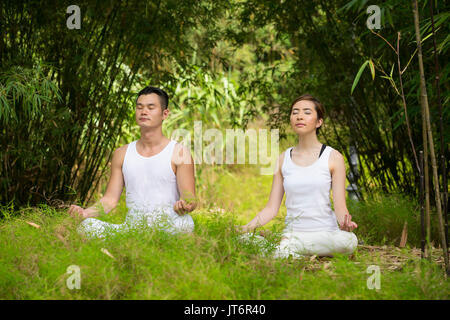 L'homme et de la femme asiatique faisant le Tai Chi dans un jardin. Style de vie sain et de détente concept. Banque D'Images