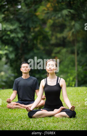 L'homme et de la femme asiatique faisant le Tai Chi dans un jardin. Style de vie sain et de détente concept. Banque D'Images