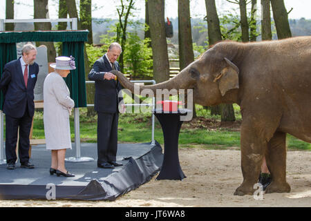Sa Majesté la Reine Elizabeth II et Son Altesse Royale le Prince Philip, Donna, d'un éléphant d'Asie bananes, ZSL zoo de Whipsnade Banque D'Images