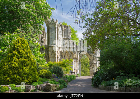 Des ruines de l'abbaye bénédictine de Saint Mary's / monastère sous ciel bleu au milieu de jardins dans la ville historique de York, Angleterre Banque D'Images