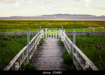 Vue paysage calme incroyable d'un marécage d'un balcon en bois au Canada. Banque D'Images