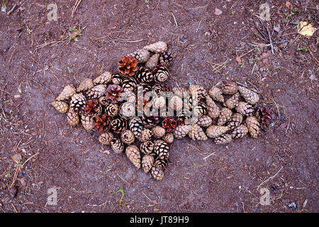 Jolis pins disposés sur le sol. Banque D'Images