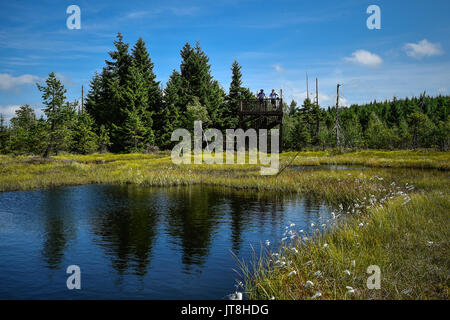 Le Cihadle peat moors, Na (Montagnes Jizera Izera), République tchèque, le 8 août 2017. (Photo/CTK Radek Petrasek) Banque D'Images