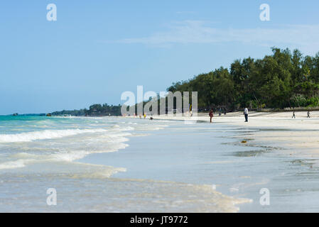 Plage tropicale avec palmiers et arbres en arrière-plan, Diani, Kenya Banque D'Images