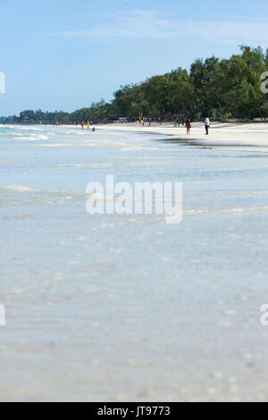 Plage tropicale avec palmiers et arbres en arrière-plan, Diani, Kenya Banque D'Images