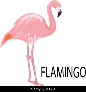 Vector illustration d'un flamand rose silhouette Illustration de Vecteur