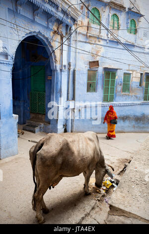 Scène de rue à Jodhpur, Rajasthan, India Banque D'Images