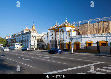 Séville, Espagne - novembre 19,2016 : Arène, plaza de toros à Séville.Séville Real Maestranza plaza Toros de Séville en Andalousie Spa Banque D'Images