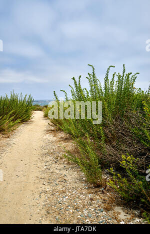 Coronado Bay, San Diego, Californie Banque D'Images