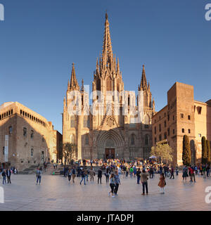 La Catedral de la Santa Creu i Santa Eulalia (la cathédrale de Barcelone), Barri Gotic, Barcelone, Catalogne, Espagne, Europe Banque D'Images