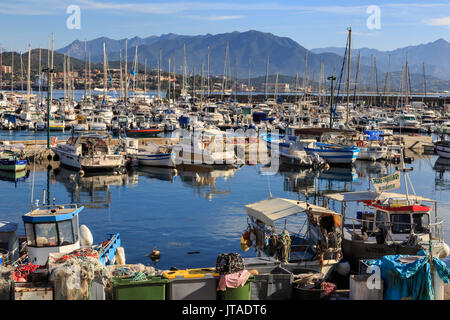 Vieux Port avec bateaux de pêche et yachts, vue de montagnes lointaines, Ajaccio, Corse, France, Europe, Méditerranée Banque D'Images