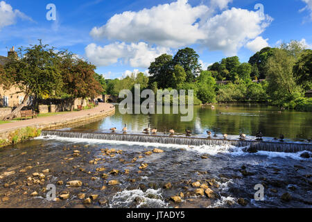 Rivière Wye au printemps, Bakewell, marché de la ville historique, accueil de Bakewell Pudding, parc national de Peak District, Derbyshire, Angleterre, Royaume-Uni, Europ Banque D'Images