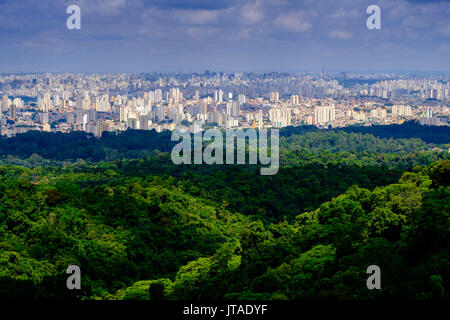 Le centre de Sao Paulo de la forêt pluviale de la Serra da Cantareira State Park, au Brésil, en Amérique du Sud Banque D'Images